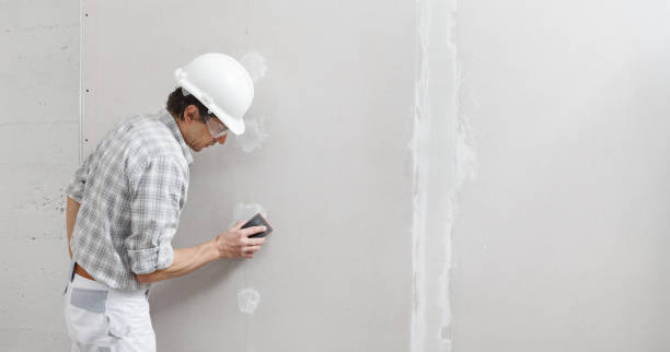 Best Drywall for Remodeling  in Panorama Village, TX